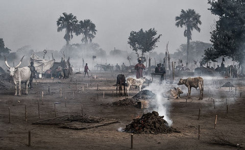 Life In A Mundari Cattle Camp - South Sudan Black Ornate Wood Framed Art Print with Double Matting by Inazio Kuesta, Joxe