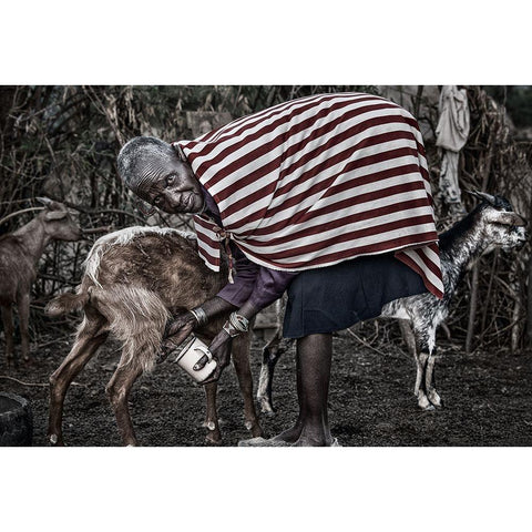 Ilchamus Tribe Woman Milking A Goat - Kenya Gold Ornate Wood Framed Art Print with Double Matting by Inazio Kuesta, Joxe