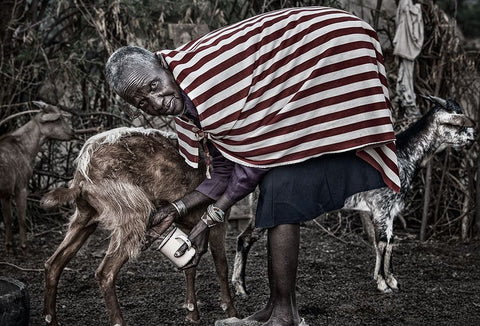 Ilchamus Tribe Woman Milking A Goat - Kenya Black Ornate Wood Framed Art Print with Double Matting by Inazio Kuesta, Joxe