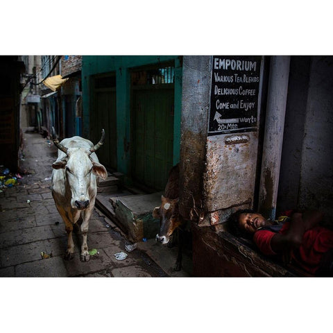 Interludes IV - A Photo Collection Black Modern Wood Framed Art Print with Double Matting by Steverson, Michael