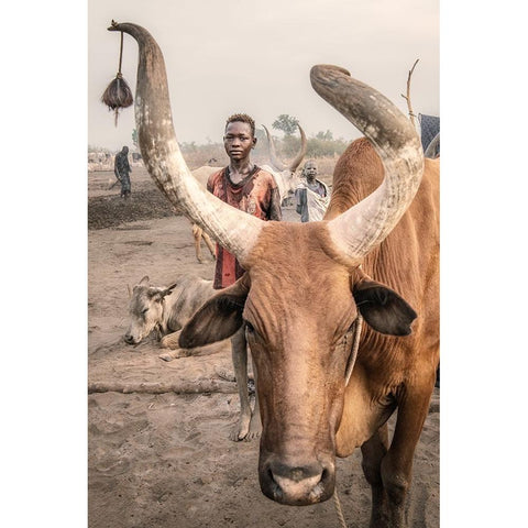 Another Life Black Modern Wood Framed Art Print by Cole, Trevor