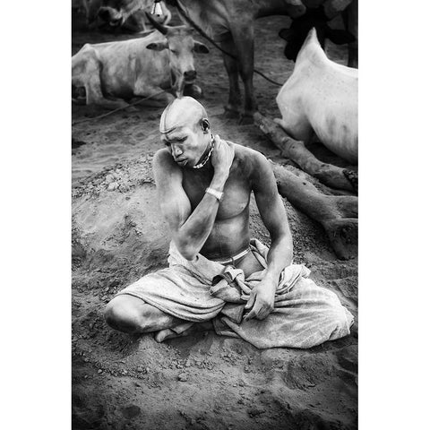 Mundari Ash Veneer White Modern Wood Framed Art Print by Cole, Trevor