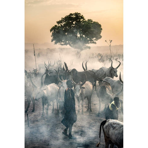 Enveloped In Haze Black Modern Wood Framed Art Print with Double Matting by Cole, Trevor