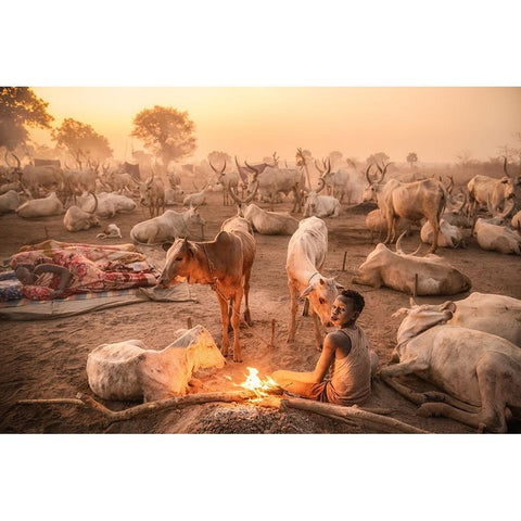 A Young Mundari Herder At Work White Modern Wood Framed Art Print by Cole, Trevor