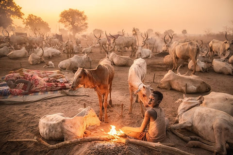 A Young Mundari Herder At Work Black Ornate Wood Framed Art Print with Double Matting by Cole, Trevor