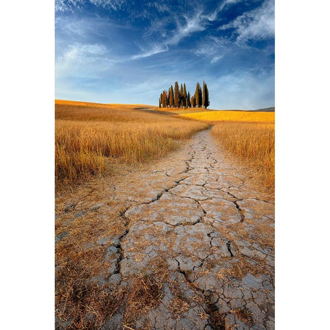 Path Of Cracks White Modern Wood Framed Art Print by Hatch, Richie