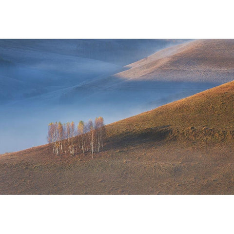 Chromatic Sunrise Black Modern Wood Framed Art Print with Double Matting by Ionut Coman, Alexandru
