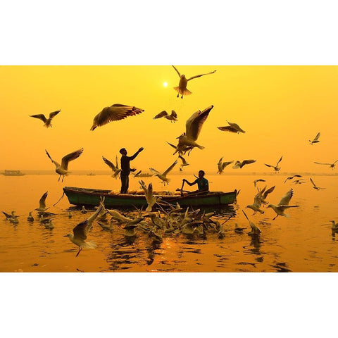 Feeding Birds White Modern Wood Framed Art Print by Chakraborty, Debopam