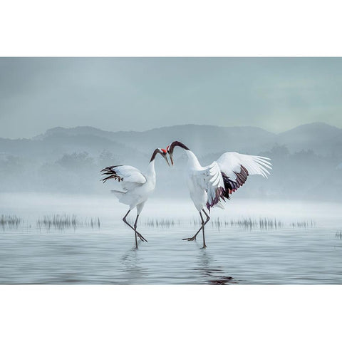 AcAndSup1;EipeAndSup1;C Black Modern Wood Framed Art Print by Fengying Long