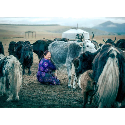 Happy Milking Black Modern Wood Framed Art Print with Double Matting by Ma, Frank