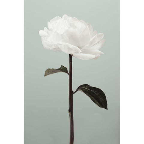 Peony 16 White Modern Wood Framed Art Print by 1x Studio III