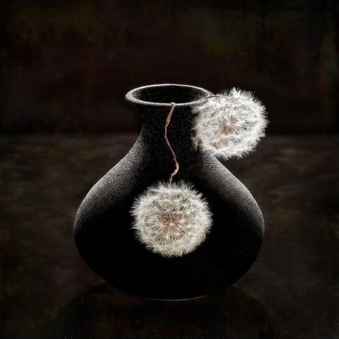 Plush Balls Black Modern Wood Framed Art Print with Double Matting by Meng, Mia