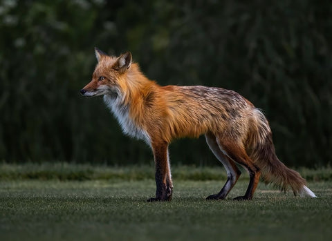 You Caught My Eyes White Modern Wood Framed Art Print with Double Matting by Tseng, Judy