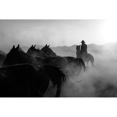 horses Black Modern Wood Framed Art Print with Double Matting by Bilgin, Zuhdu
