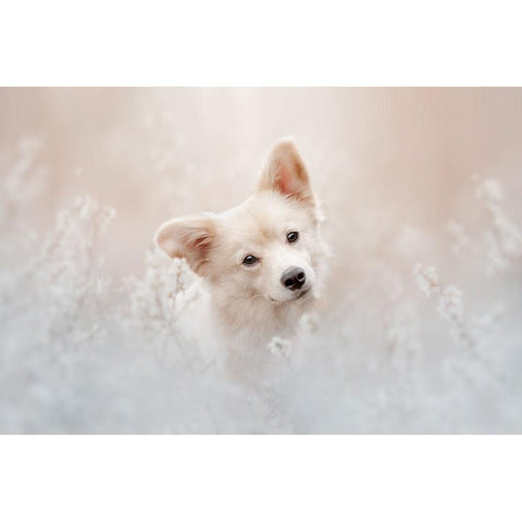 Beige Camouflage Black Modern Wood Framed Art Print with Double Matting by Shandor, Ve