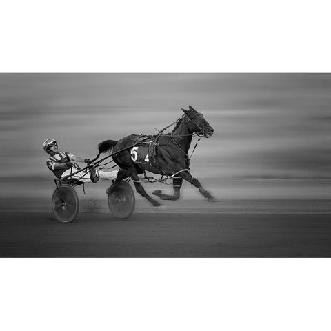 Racing White Modern Wood Framed Art Print by Aamp Wei, Shi
