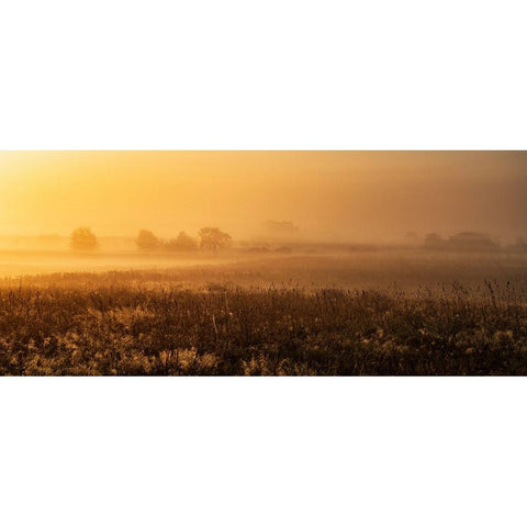 MorningMood White Modern Wood Framed Art Print by Mus, Jurgen