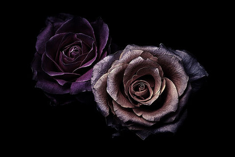 Roses Black Ornate Wood Framed Art Print with Double Matting by Julie, Angel