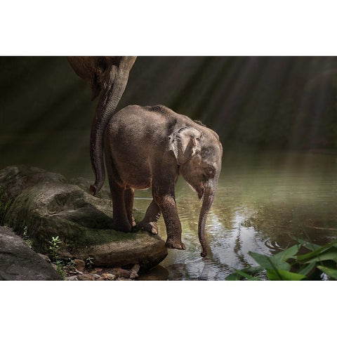 Braveelephant Black Modern Wood Framed Art Print with Double Matting by Egger, Marcel