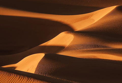 The Sand Dune Ladder Black Ornate Wood Framed Art Print with Double Matting by Qiu, Jenny