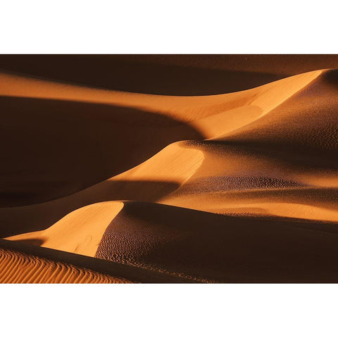 The Sand Dune Ladder Gold Ornate Wood Framed Art Print with Double Matting by Qiu, Jenny