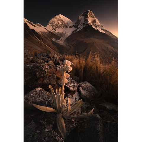 Nevado Huascaran Gold Ornate Wood Framed Art Print with Double Matting by Nienartowicz, Karol