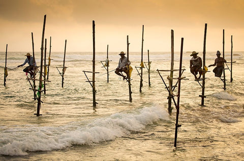 Fishermen On Stilts Black Ornate Wood Framed Art Print with Double Matting by Schram, Olivier