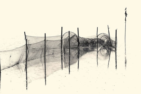 Fish Trap Bw White Modern Wood Framed Art Print with Double Matting by Balzer, Bodo