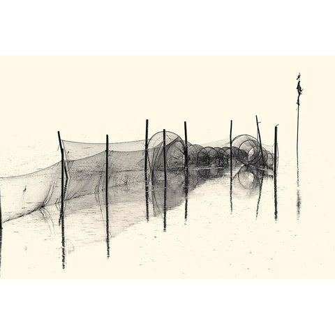 Fish Trap Bw Black Modern Wood Framed Art Print by Balzer, Bodo