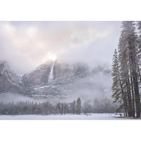 Yosemite Falls White Modern Wood Framed Art Print by Iqbal, Syed