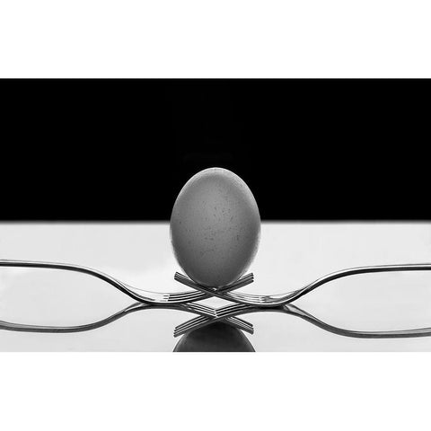 The egg Black Modern Wood Framed Art Print with Double Matting by Toniolo, Giorgio