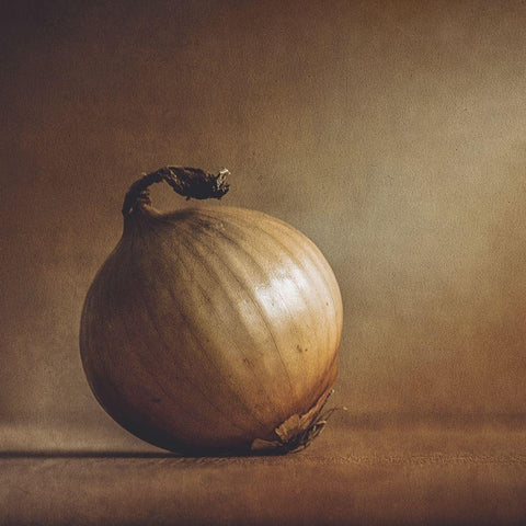 Onion Black Modern Wood Framed Art Print by Zvinakeviciute, Kristina