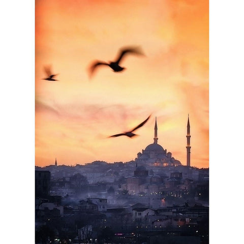 Sunset in Istanbul Gold Ornate Wood Framed Art Print with Double Matting by Lopez, Bartolome