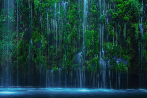 Mossbrae Black Ornate Wood Framed Art Print with Double Matting by Liu, Wei