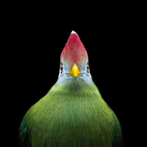 Untitled White Modern Wood Framed Art Print with Double Matting by Pandya, Hardik