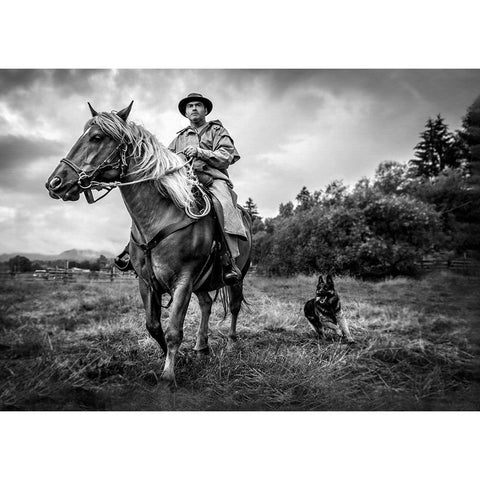 Wild Life Black Modern Wood Framed Art Print with Double Matting by Girmencea, Robert