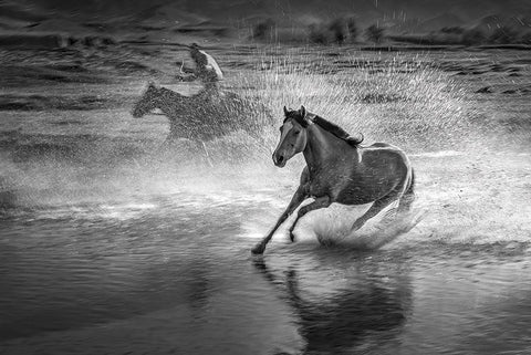 Running Horses Black Ornate Wood Framed Art Print with Double Matting by Zhang, Anna