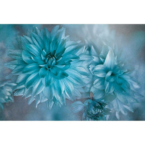 Twilight White Modern Wood Framed Art Print by Parker, Jacky