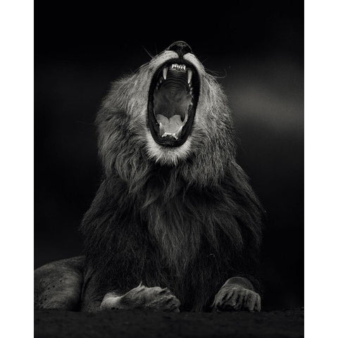 Yawning Black Modern Wood Framed Art Print by Sobhi, Ahmed