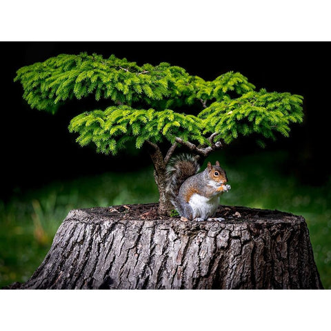 My Little World Gold Ornate Wood Framed Art Print with Double Matting by Silveira, Fernando