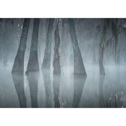 Lake Martin Black Modern Wood Framed Art Print with Double Matting by Wei, Willa