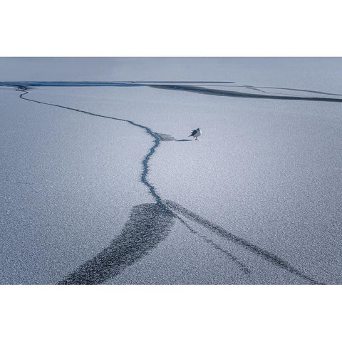 After The Snow... Black Modern Wood Framed Art Print with Double Matting by Chen, Jennifer