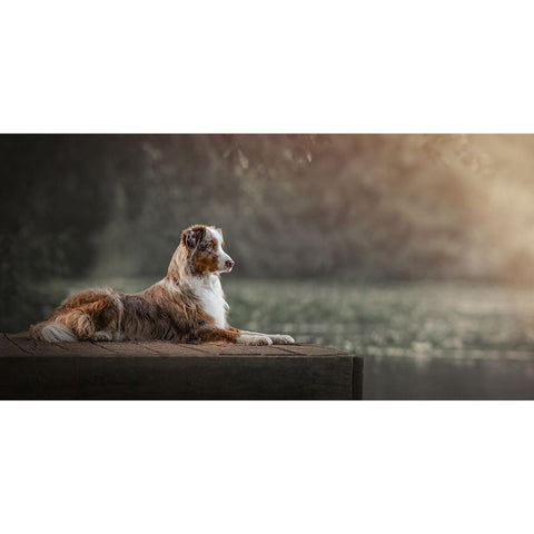 Panorama 2.0 Gold Ornate Wood Framed Art Print with Double Matting by Kuplenk, Nika