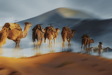 Caravane White Modern Wood Framed Art Print with Double Matting by Halperin, Gabrielle