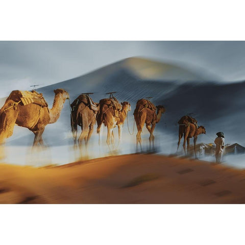 Caravane White Modern Wood Framed Art Print by Halperin, Gabrielle