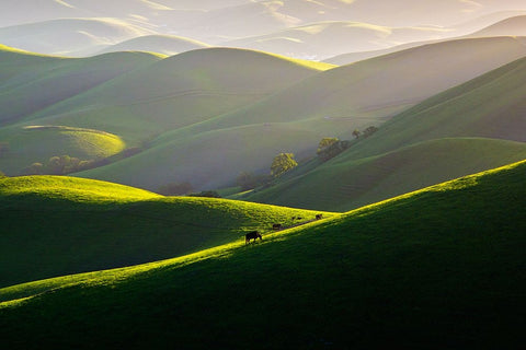 Afternoon Light On Hills White Modern Wood Framed Art Print with Double Matting by Mao, Dianne
