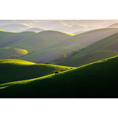 Afternoon Light On Hills Black Modern Wood Framed Art Print by Mao, Dianne