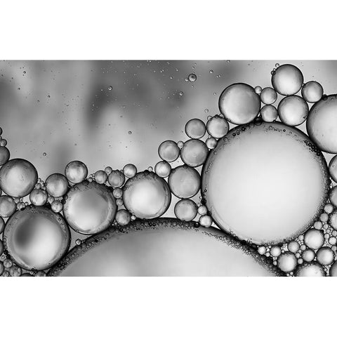 bubbles White Modern Wood Framed Art Print by Garcia, Helena