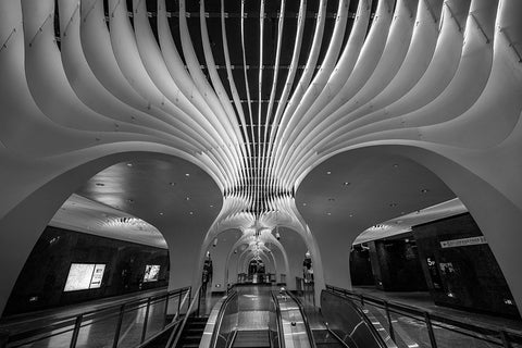 The Curves And Lighting White Modern Wood Framed Art Print with Double Matting by Ren Rong, Raymond