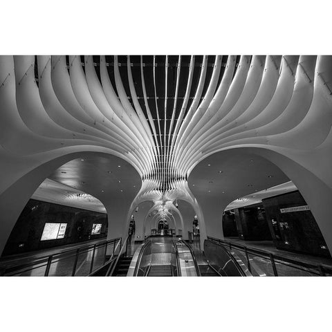 The Curves And Lighting Black Modern Wood Framed Art Print by Ren Rong, Raymond